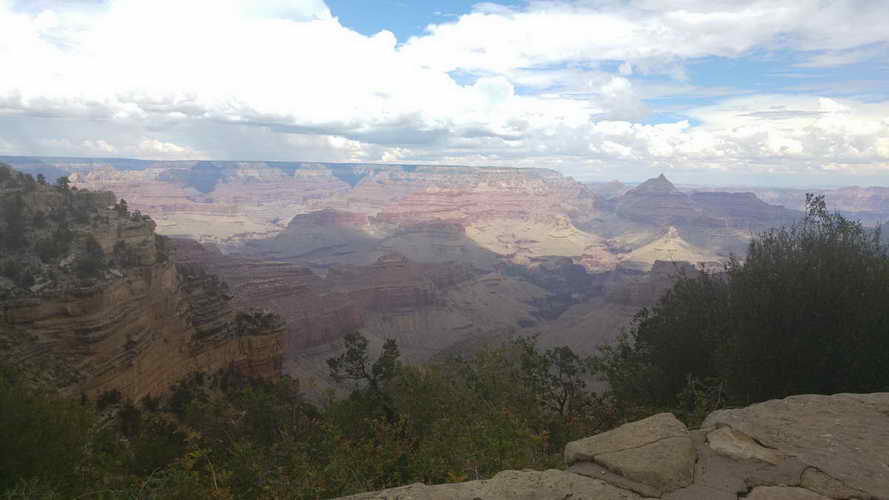 USA_2018-07-13 13-24-15_CELL_20180713_132415